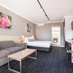 Studio Queen Room Sofa
